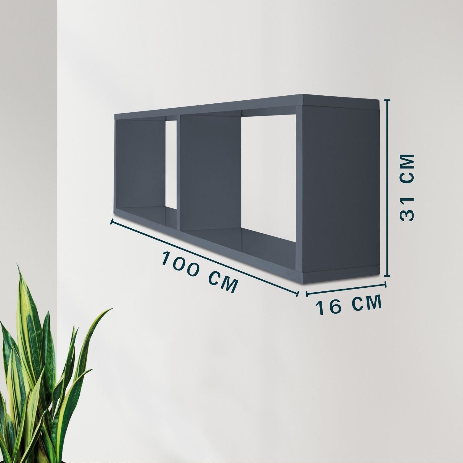 Wandregal COMPACT Anthrazit mit Maßangaben an einer hellgrauen Wand hängend. Eine Zimmerpflanze in der Ecke.