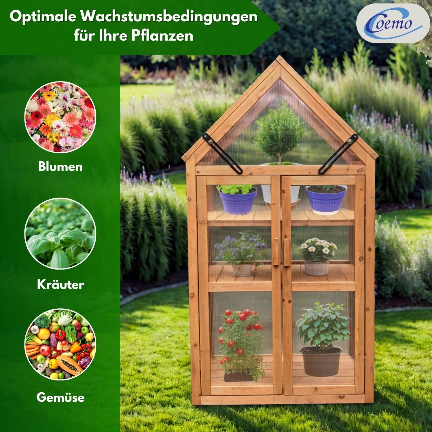 Coemo Gewächshaus Jan mit aufklappbaren Türen und Dach