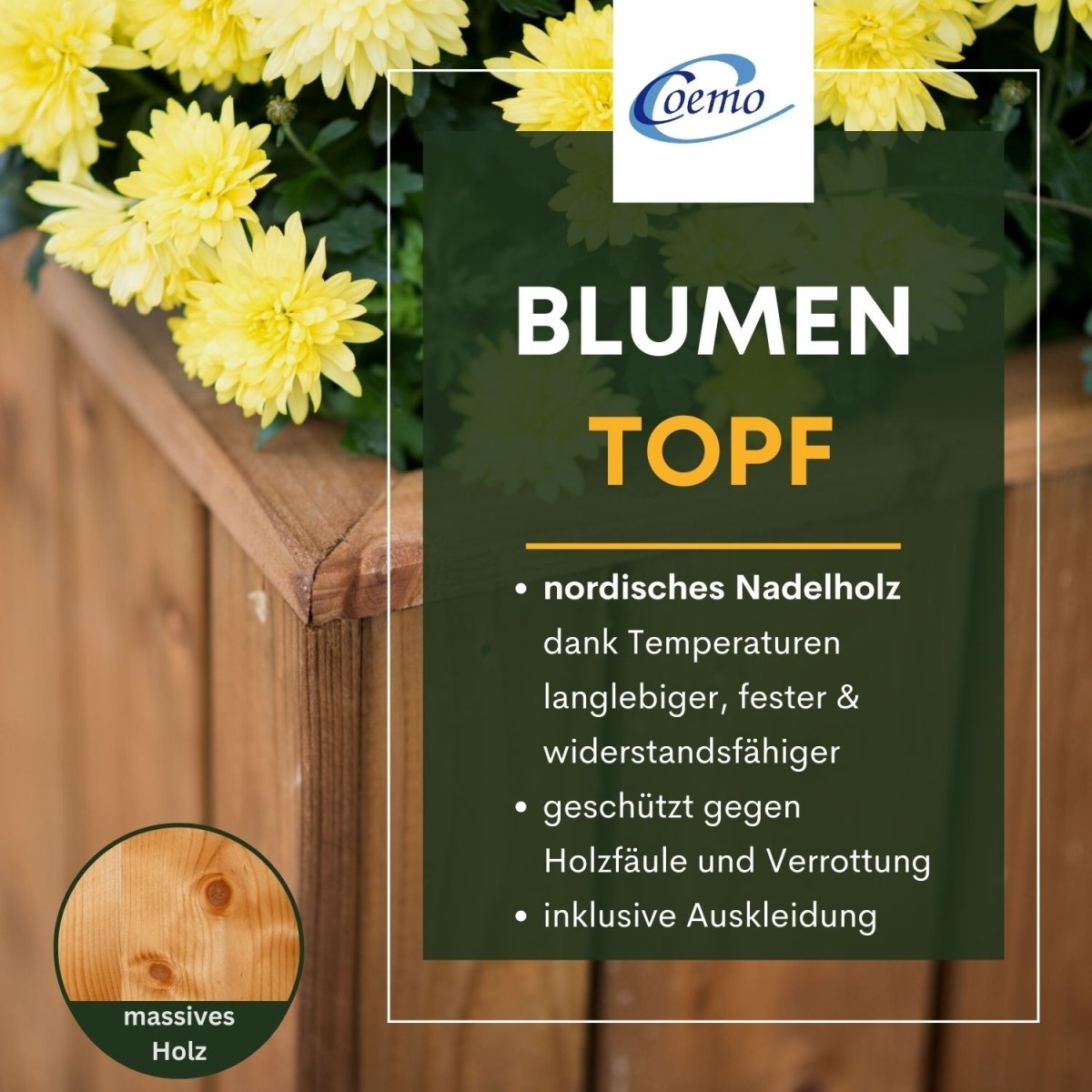 Coemo Blumenkasten Riga kleines Kräuterbeet Pflanzkübel - Mein-Regal.de