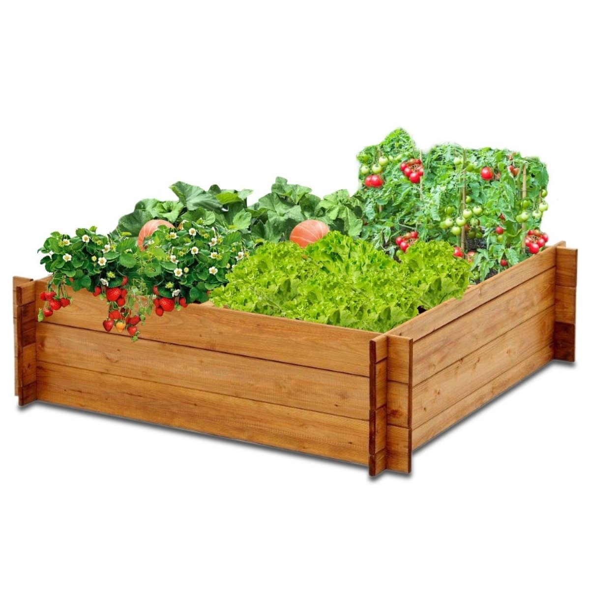 Coemo Hochbeet Riga KrÀuterbeet Holz 4-geteilt mit Unterteilung - Mein-Regal.de