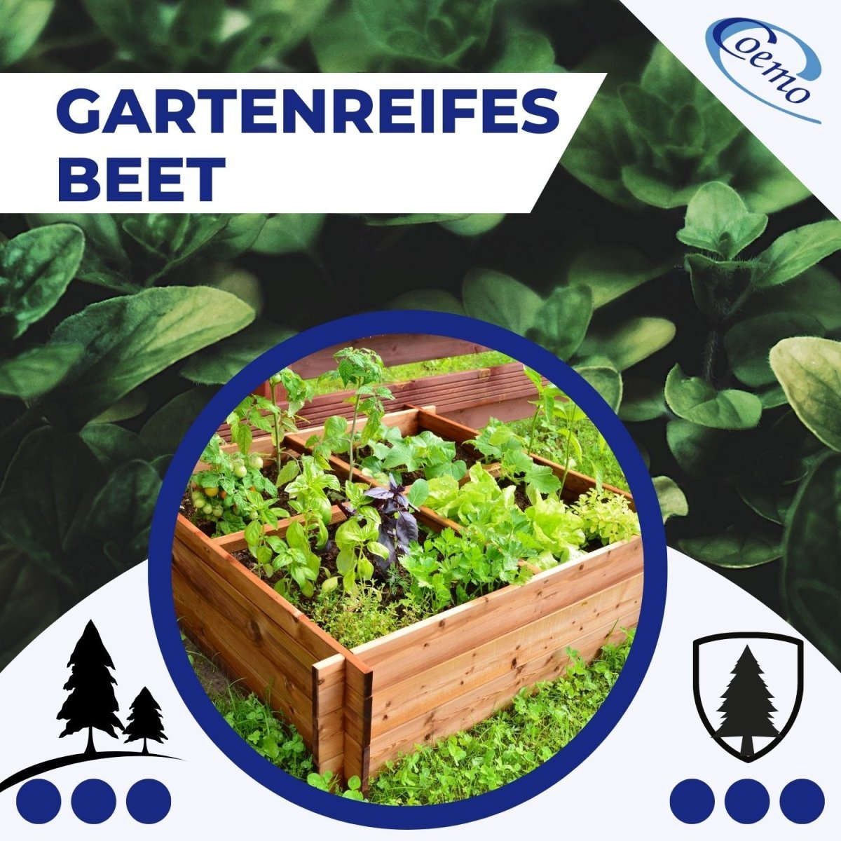 Coemo Hochbeet Riga Kräuterbeet Holz 4-geteilt mit Unterteilung - Mein-Regal.de