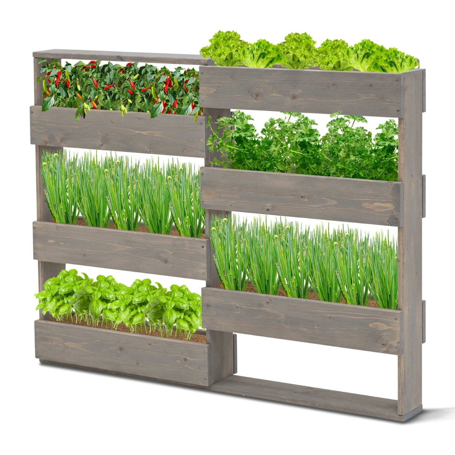 Coemo Vertikalbeet Riga Kräuterbeet Holz 6 Pflanzkästen