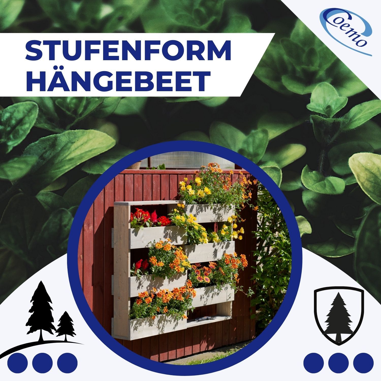 Coemo Vertikalbeet Riga Kräuterbeet Holz 6 Pflanzkästen